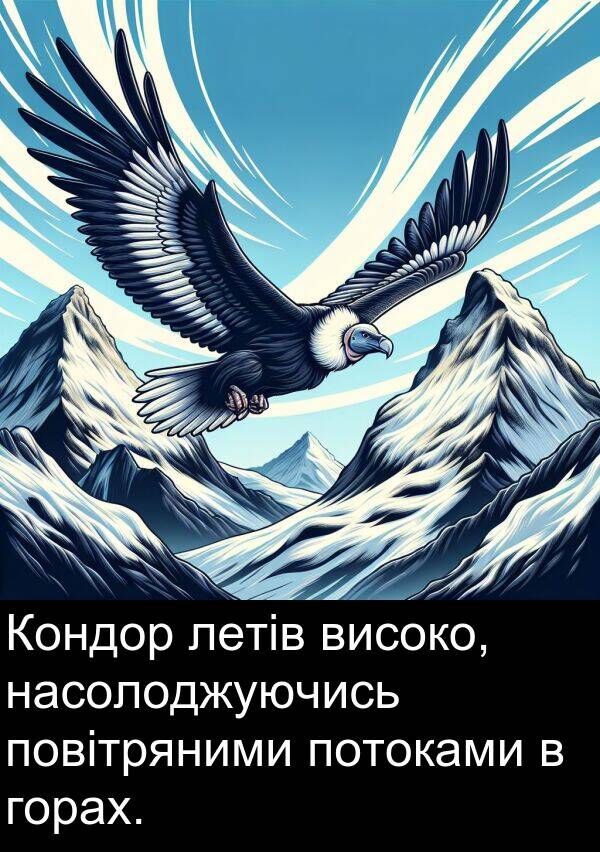 летів: Кондор летів високо, насолоджуючись повітряними потоками в горах.