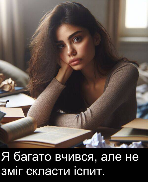 іспит: Я багато вчився, але не зміг скласти іспит.