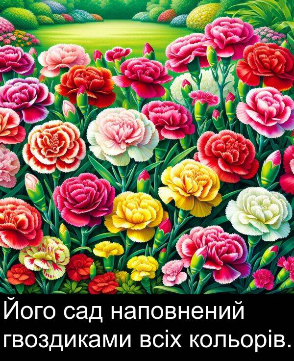 гвоздиками: Його сад наповнений гвоздиками всіх кольорів.
