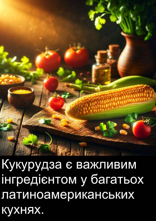 інгредієнтом: Кукурудза є важливим інгредієнтом у багатьох латиноамериканських кухнях.