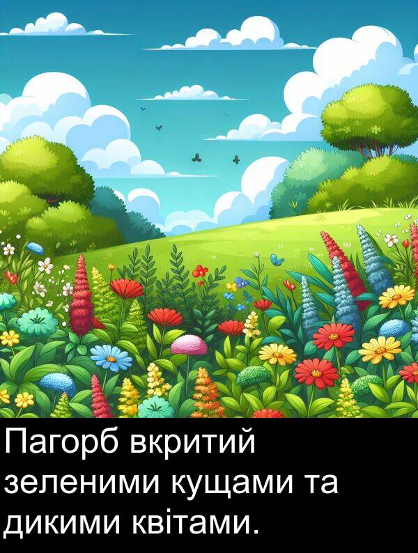 квітами: Пагорб вкритий зеленими кущами та дикими квітами.