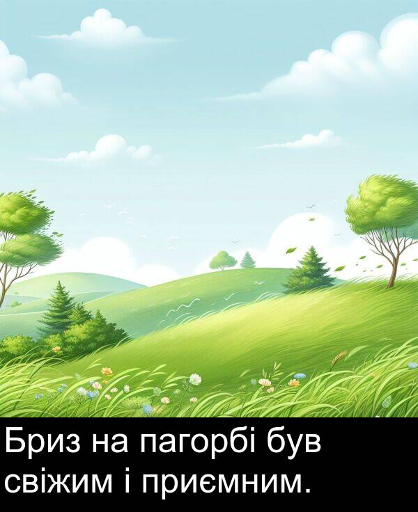 свіжим: Бриз на пагорбі був свіжим і приємним.