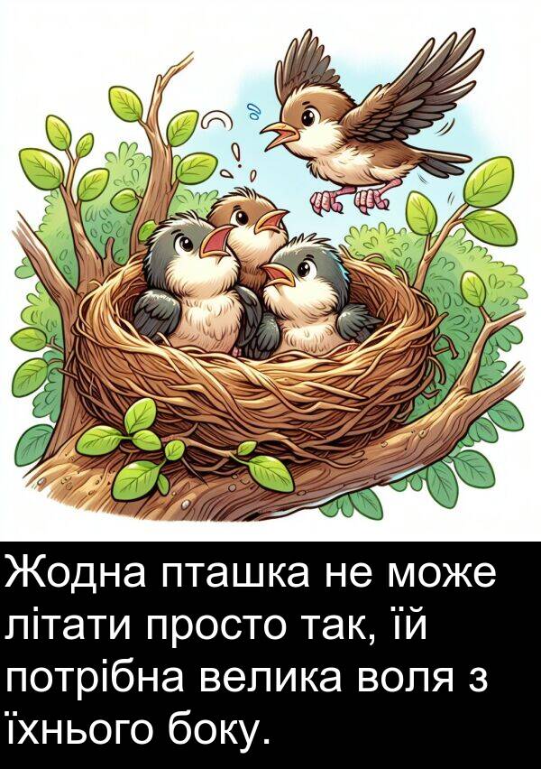велика: Жодна пташка не може літати просто так, їй потрібна велика воля з їхнього боку.