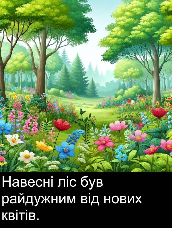 ліс: Навесні ліс був райдужним від нових квітів.