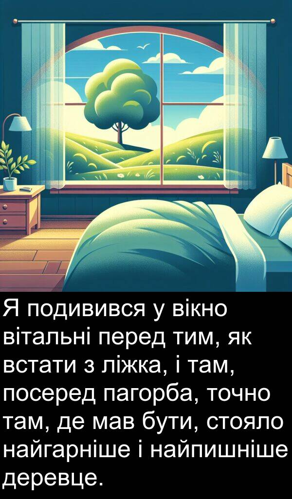 вітальні: Я подивився у вікно вітальні перед тим, як встати з ліжка, і там, посеред пагорба, точно там, де мав бути, стояло найгарніше і найпишніше деревце.