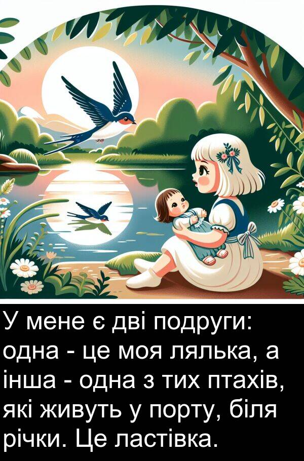 річки: У мене є дві подруги: одна - це моя лялька, а інша - одна з тих птахів, які живуть у порту, біля річки. Це ластівка.