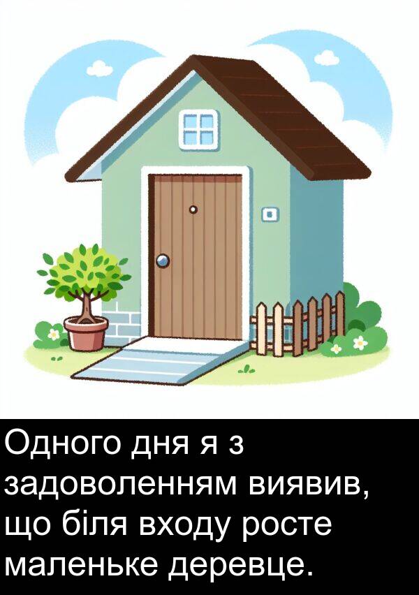 задоволенням: Одного дня я з задоволенням виявив, що біля входу росте маленьке деревце.