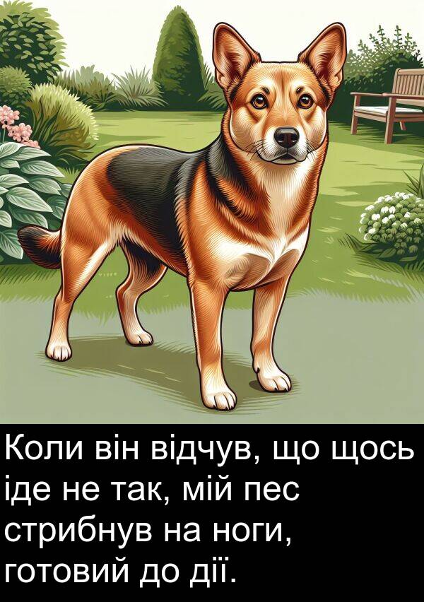 відчув: Коли він відчув, що щось іде не так, мій пес стрибнув на ноги, готовий до дії.