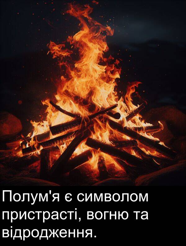 відродження: Полум'я є символом пристрасті, вогню та відродження.