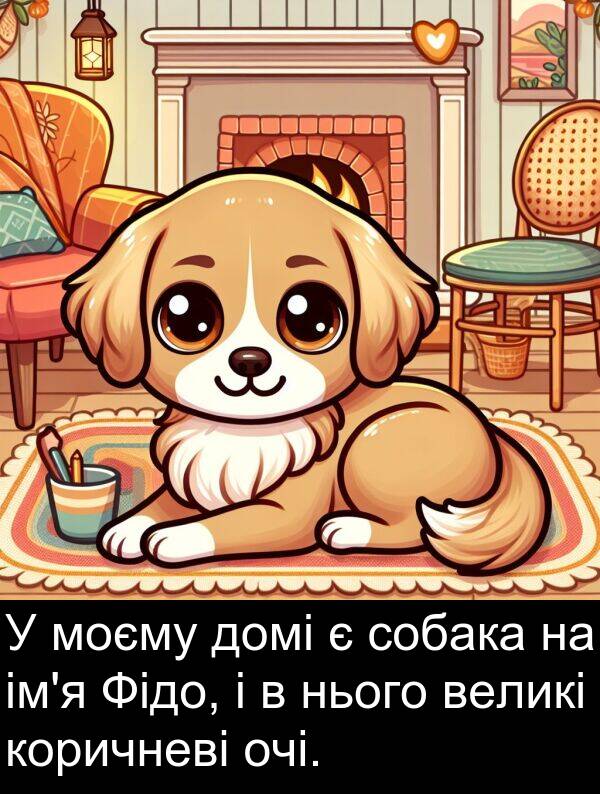 великі: У моєму домі є собака на ім'я Фідо, і в нього великі коричневі очі.