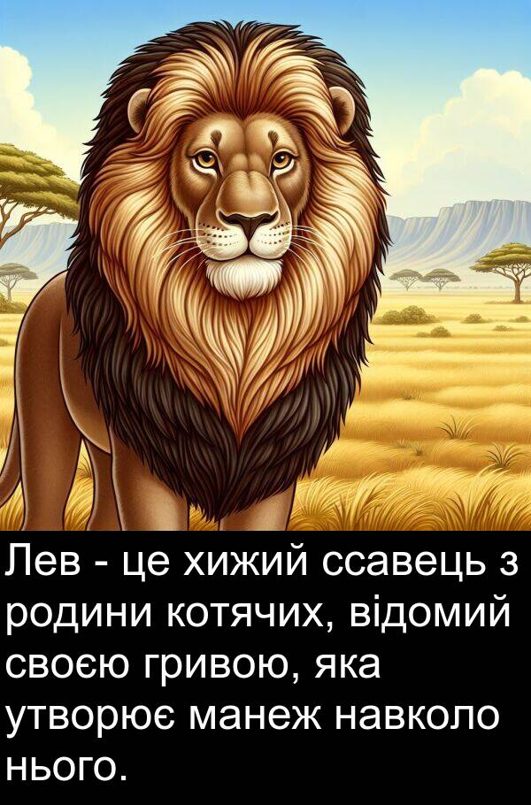 манеж: Лев - це хижий ссавець з родини котячих, відомий своєю гривою, яка утворює манеж навколо нього.
