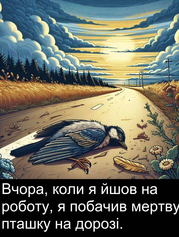пташку: Вчора, коли я йшов на роботу, я побачив мертву пташку на дорозі.