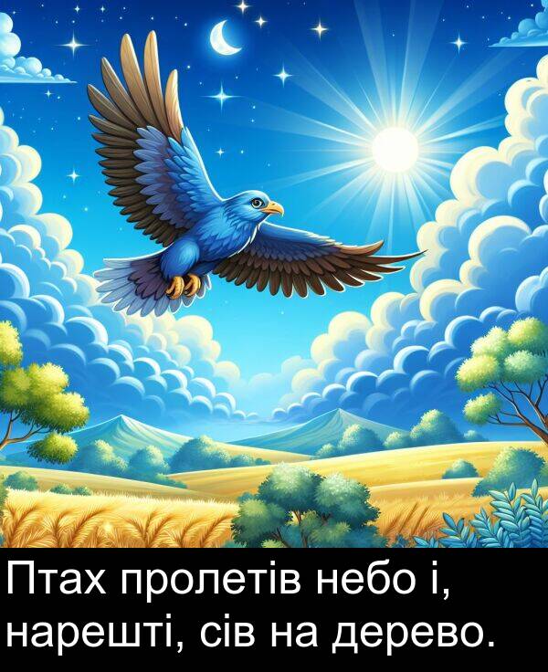 сів: Птах пролетів небо і, нарешті, сів на дерево.
