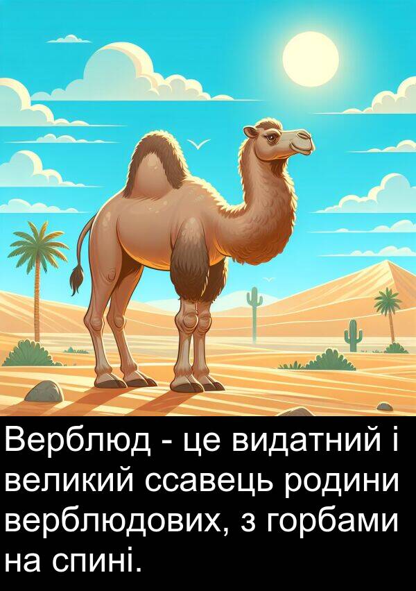 великий: Верблюд - це видатний і великий ссавець родини верблюдових, з горбами на спині.