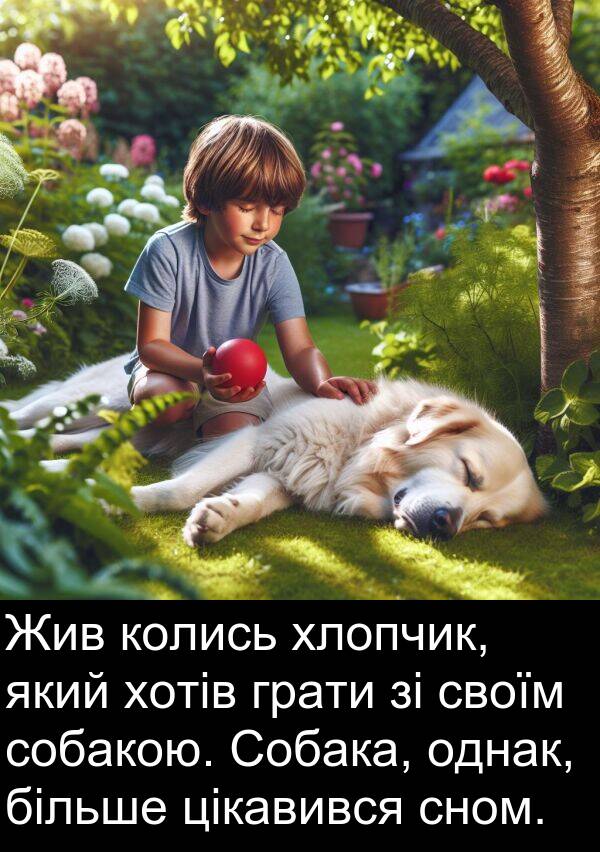 цікавився: Жив колись хлопчик, який хотів грати зі своїм собакою. Собака, однак, більше цікавився сном.