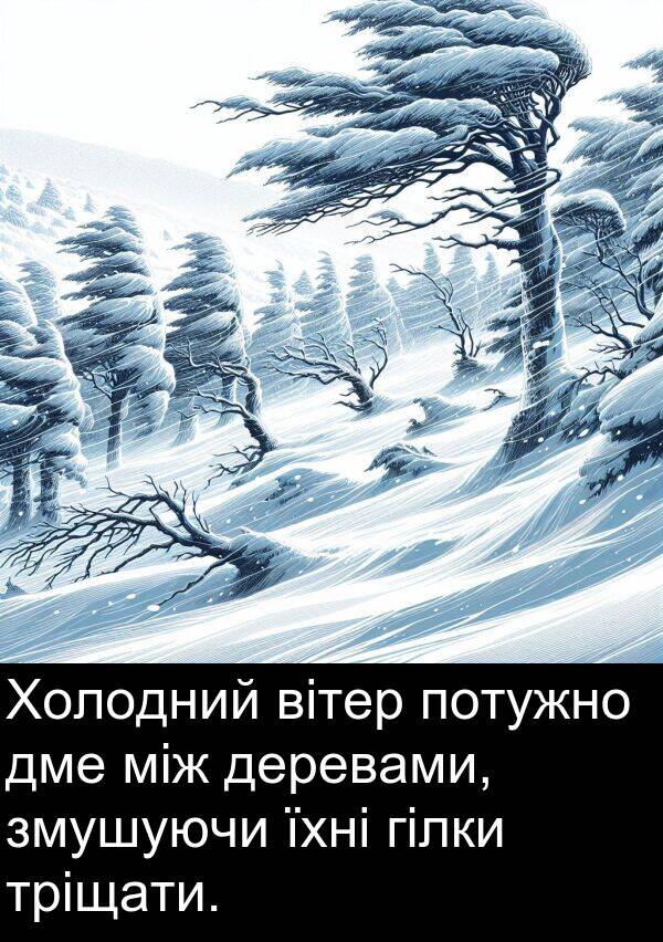 вітер: Холодний вітер потужно дме між деревами, змушуючи їхні гілки тріщати.