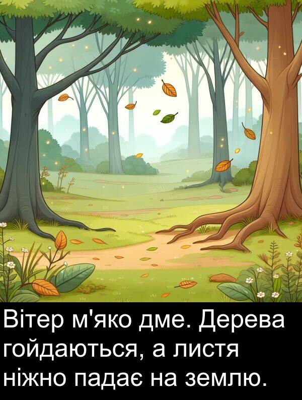 гойдаються: Вітер м'яко дме. Дерева гойдаються, а листя ніжно падає на землю.