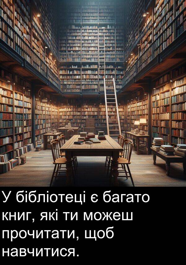 навчитися: У бібліотеці є багато книг, які ти можеш прочитати, щоб навчитися.
