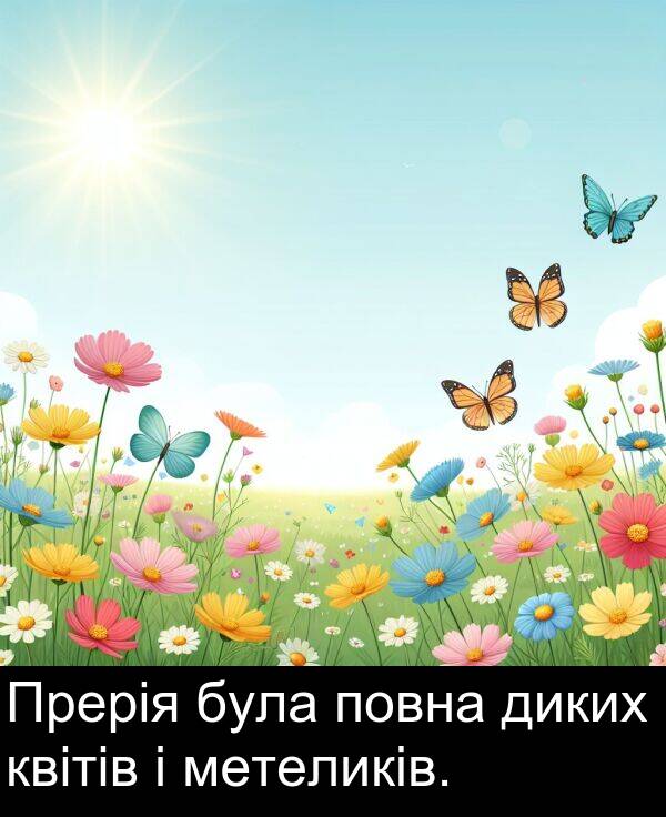 диких: Прерія була повна диких квітів і метеликів.