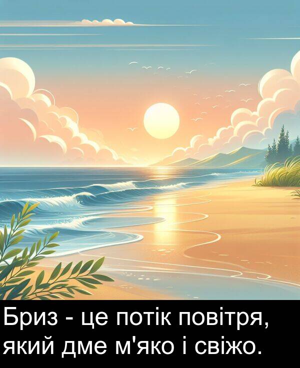 свіжо: Бриз - це потік повітря, який дме м'яко і свіжо.