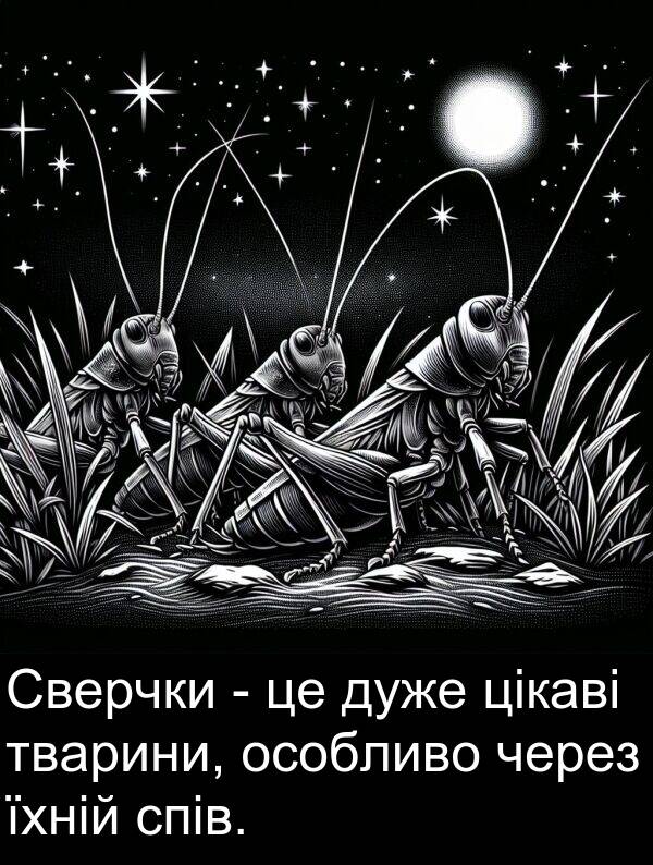 їхній: Сверчки - це дуже цікаві тварини, особливо через їхній спів.