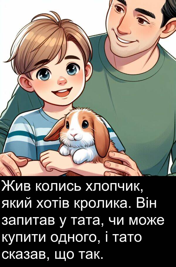 хотів: Жив колись хлопчик, який хотів кролика. Він запитав у тата, чи може купити одного, і тато сказав, що так.