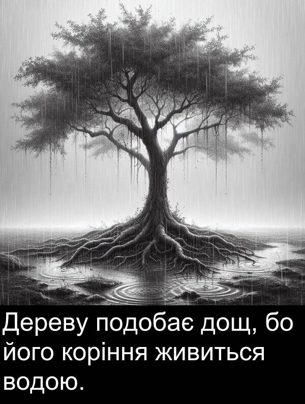 живиться: Дереву подобає дощ, бо його коріння живиться водою.