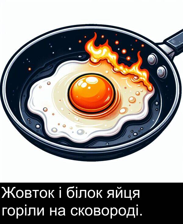 білок: Жовток і білок яйця горіли на сковороді.