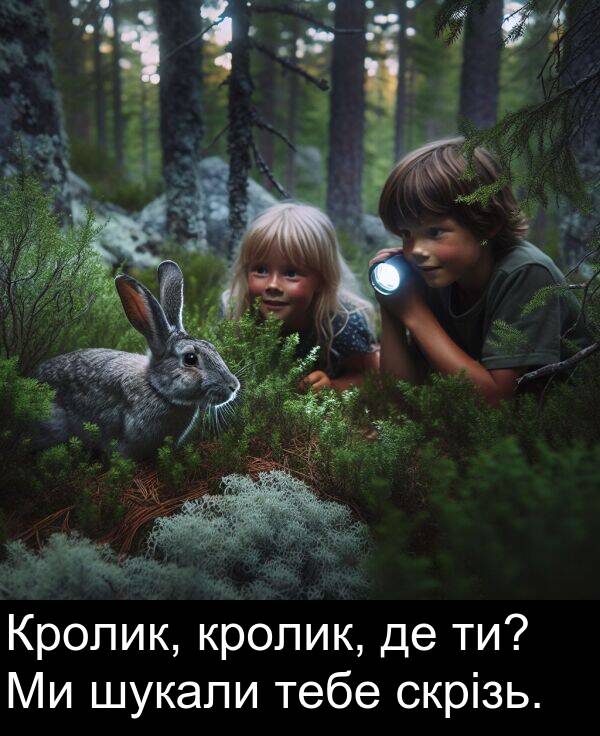 тебе: Кролик, кролик, де ти? Ми шукали тебе скрізь.