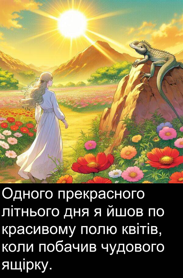 літнього: Одного прекрасного літнього дня я йшов по красивому полю квітів, коли побачив чудового ящірку.