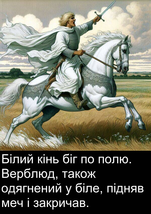 біле: Білий кінь біг по полю. Верблюд, також одягнений у біле, підняв меч і закричав.