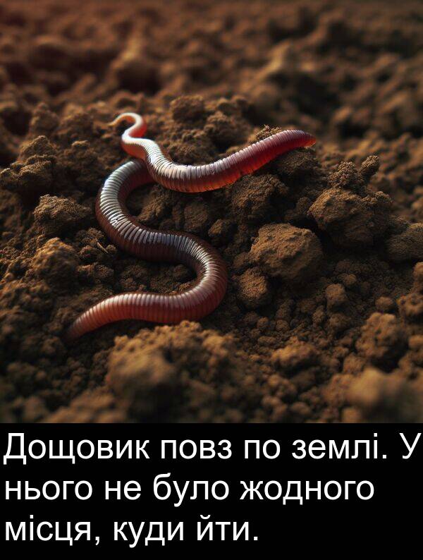 жодного: Дощовик повз по землі. У нього не було жодного місця, куди йти.