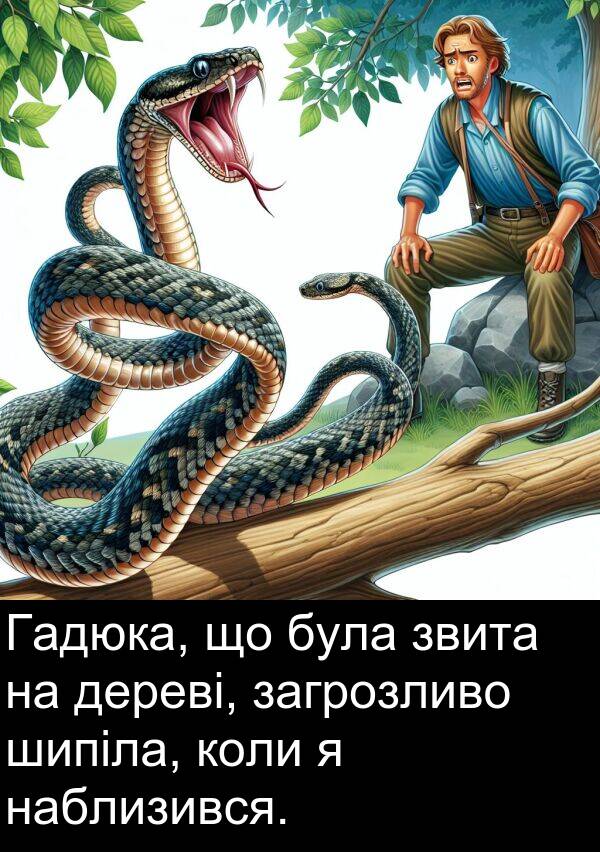 наблизився: Гадюка, що була звита на дереві, загрозливо шипіла, коли я наблизився.