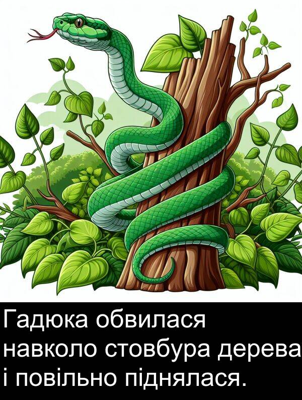 дерева: Гадюка обвилася навколо стовбура дерева і повільно піднялася.