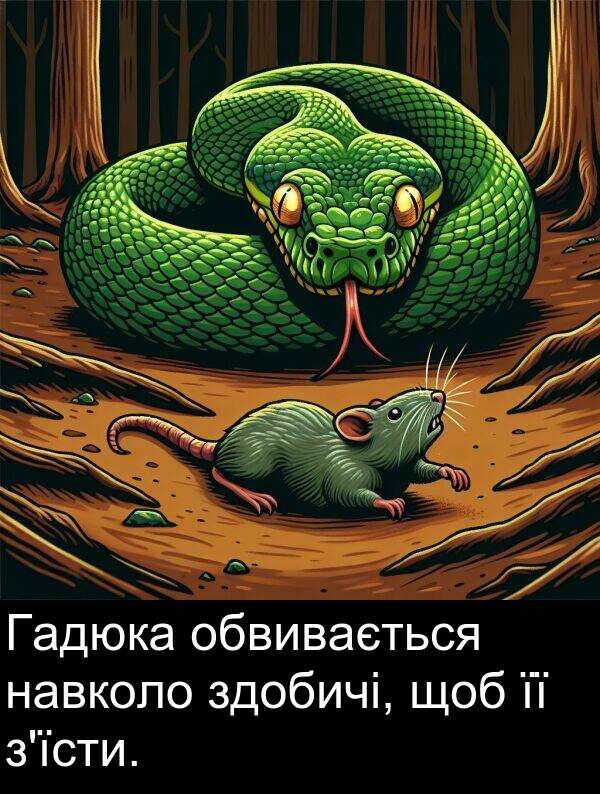 щоб: Гадюка обвивається навколо здобичі, щоб її з'їсти.