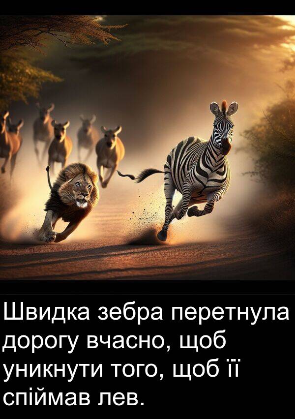 уникнути: Швидка зебра перетнула дорогу вчасно, щоб уникнути того, щоб її спіймав лев.