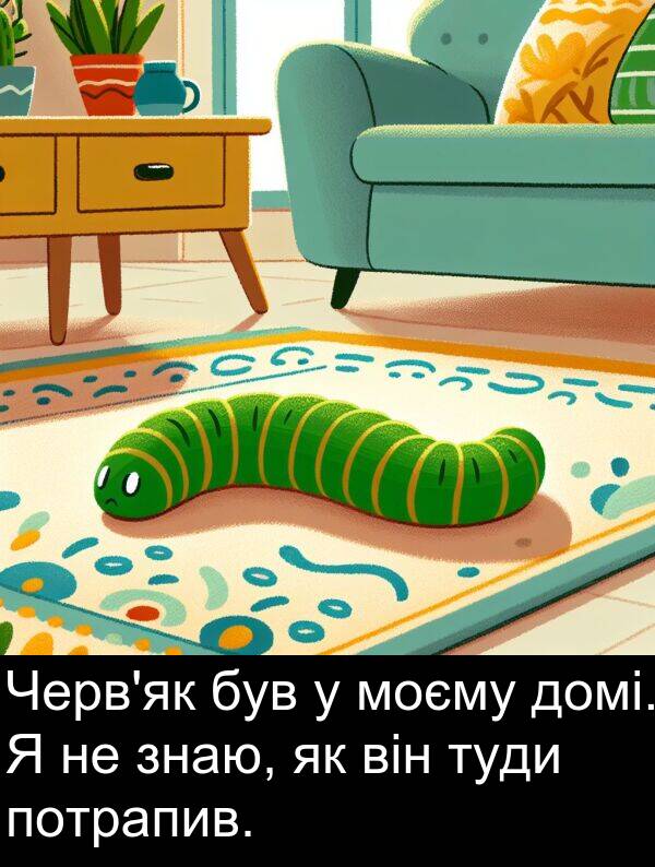 потрапив: Черв'як був у моєму домі. Я не знаю, як він туди потрапив.