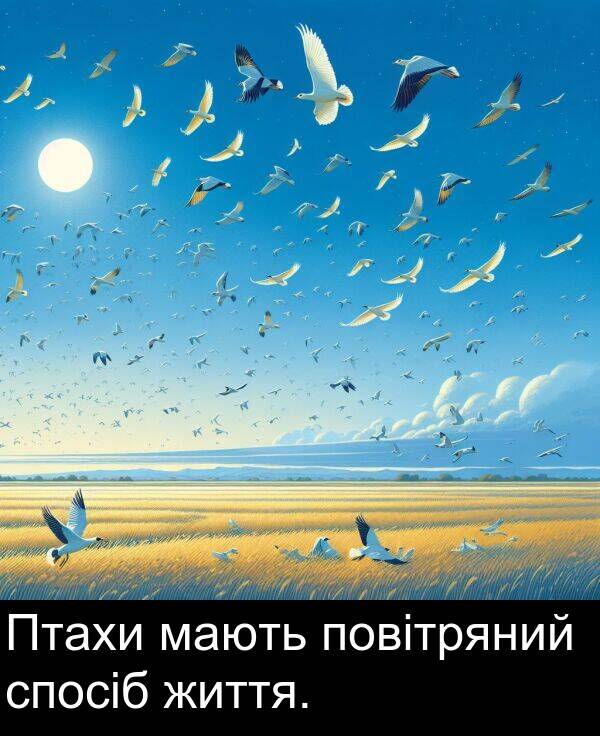 життя: Птахи мають повітряний спосіб життя.