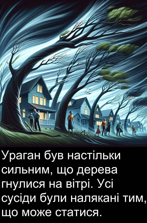 вітрі: Ураган був настільки сильним, що дерева гнулися на вітрі. Усі сусіди були налякані тим, що може статися.