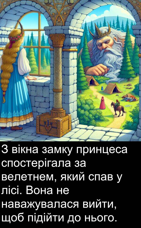 вікна: З вікна замку принцеса спостерігала за велетнем, який спав у лісі. Вона не наважувалася вийти, щоб підійти до нього.