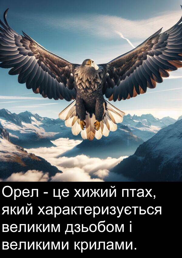 великими: Орел - це хижий птах, який характеризується великим дзьобом і великими крилами.
