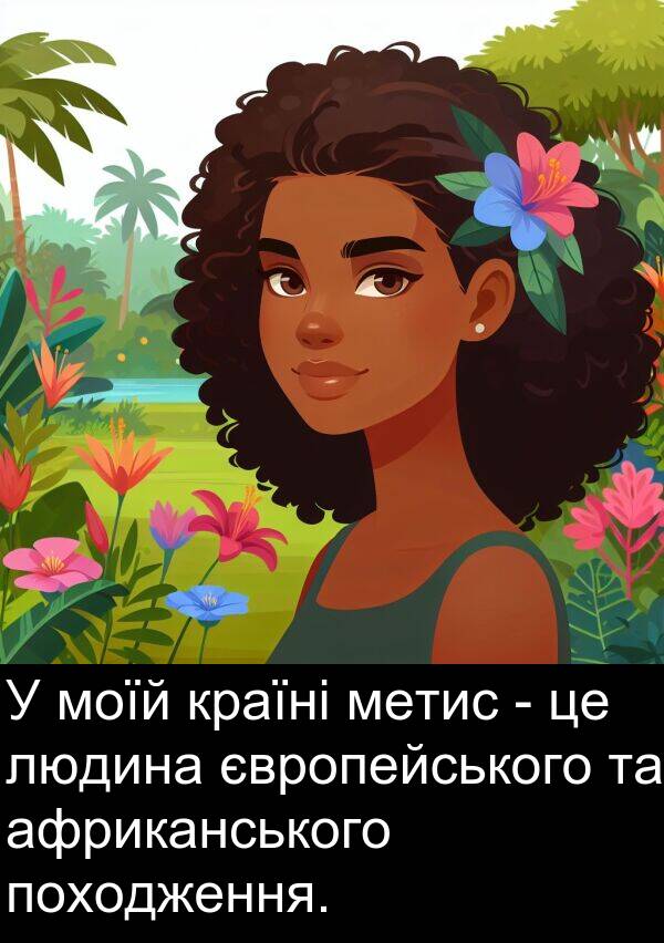 європейського: У моїй країні метис - це людина європейського та африканського походження.