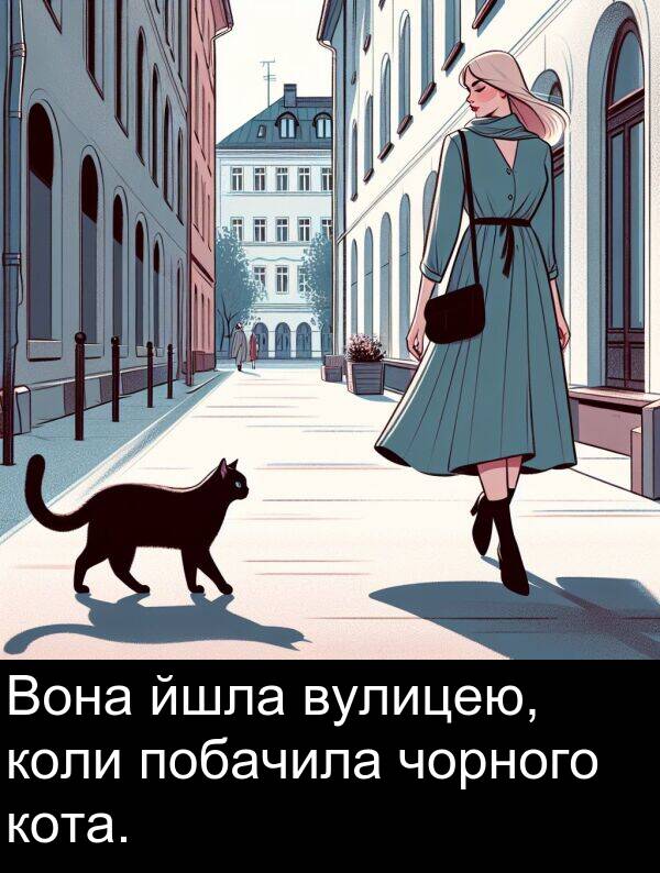 чорного: Вона йшла вулицею, коли побачила чорного кота.
