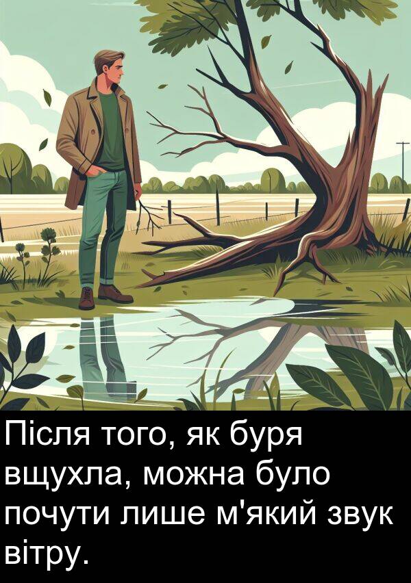 вітру: Після того, як буря вщухла, можна було почути лише м'який звук вітру.