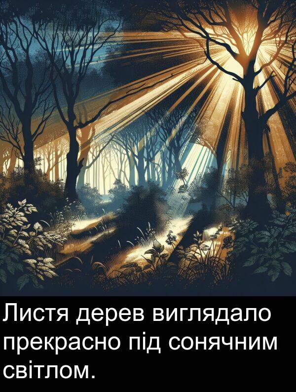 світлом: Листя дерев виглядало прекрасно під сонячним світлом.