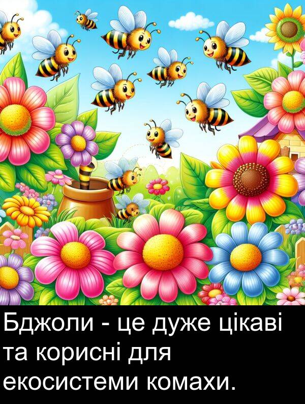 цікаві: Бджоли - це дуже цікаві та корисні для екосистеми комахи.