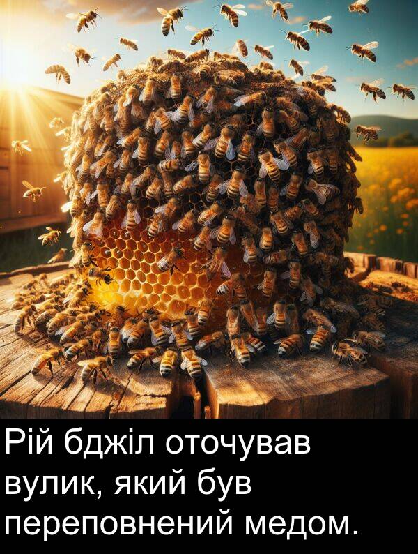 бджіл: Рій бджіл оточував вулик, який був переповнений медом.