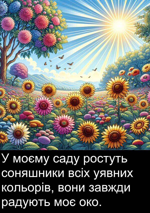 саду: У моєму саду ростуть соняшники всіх уявних кольорів, вони завжди радують моє око.