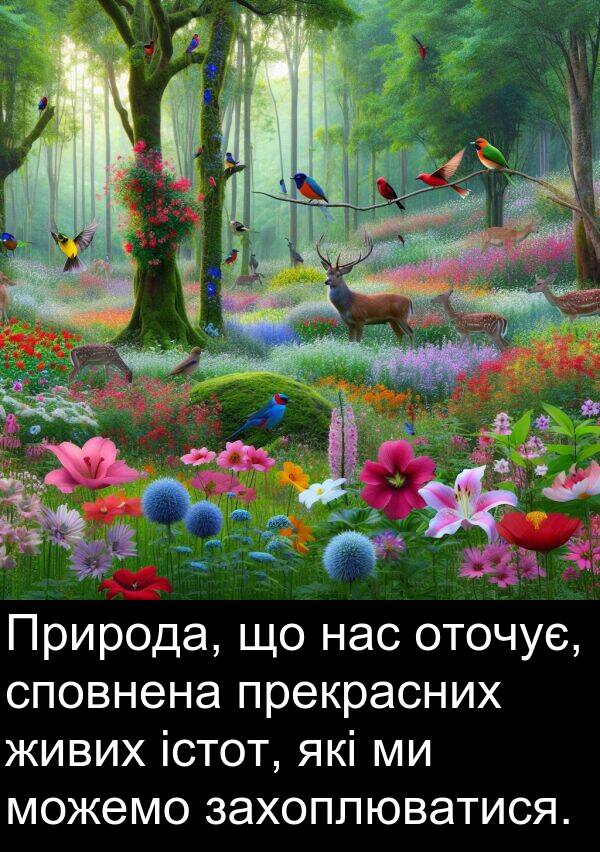 живих: Природа, що нас оточує, сповнена прекрасних живих істот, які ми можемо захоплюватися.