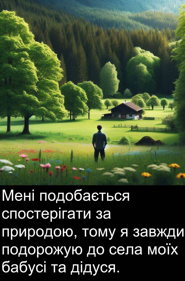 бабусі: Мені подобається спостерігати за природою, тому я завжди подорожую до села моїх бабусі та дідуся.